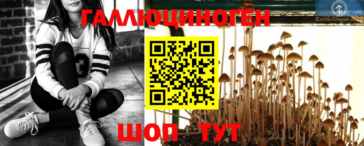 Галлюциногенные грибы мухоморы  Псилоцибиновые грибы GOLDEN TEACHER  Вход с VPN  Наро-Фоминск 